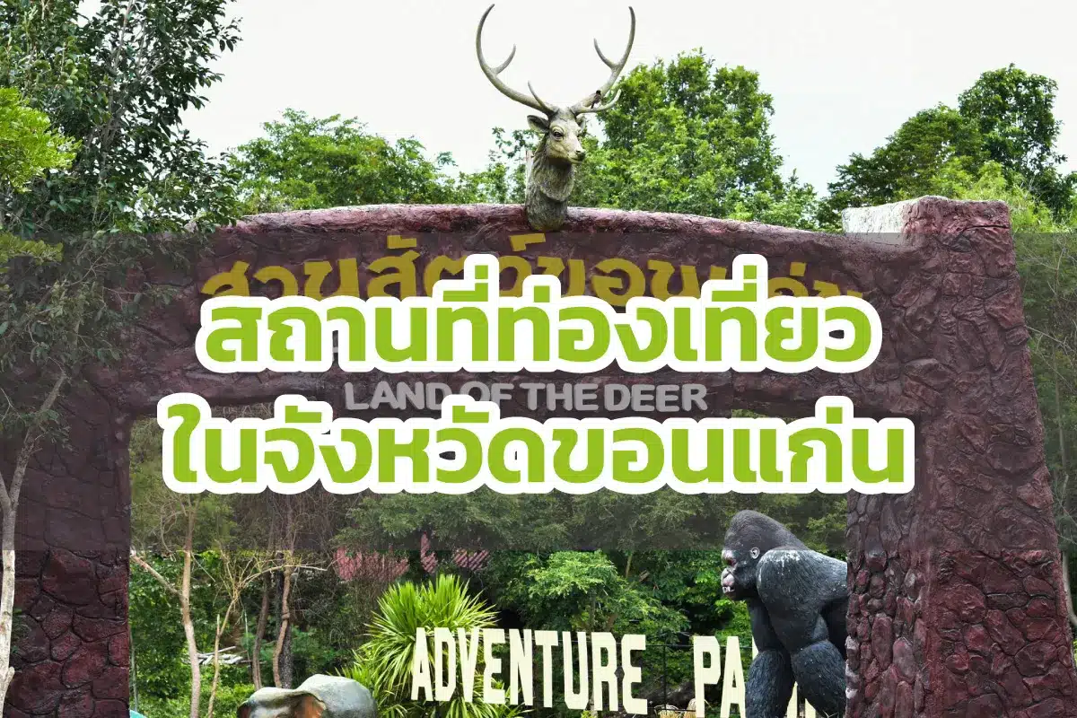 เช่ารถตู้ไปขอนแก่น 16 11 Rent a van to Khon Kaen
