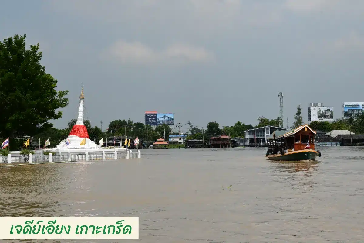 Alphard car rental Nonthaburi 11