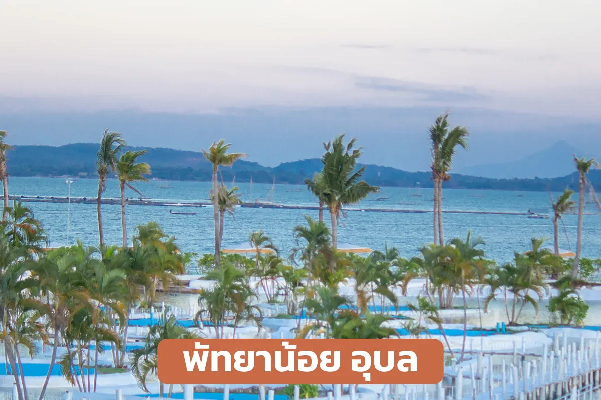 Alphard car rental Ubon Ratchathani 13