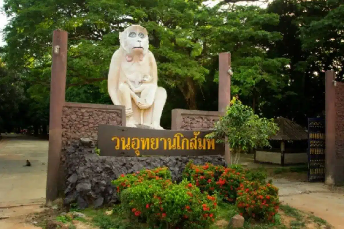 เช่ารถตู้ มหาสารคาม 19 Van rental Maha Sarakham 12