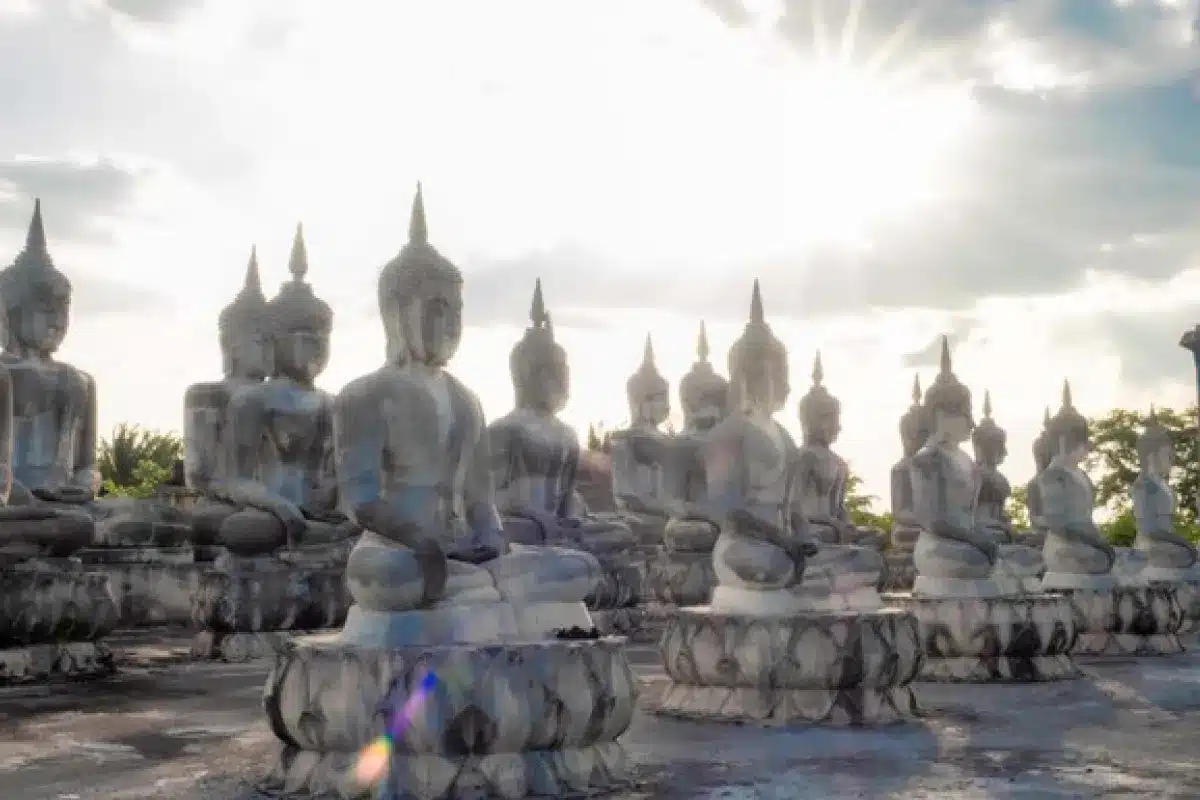 เช่ารถตู้ไปนครศรีธรรมราช 15 Rent a van to Nakhon Si Thammarat 10